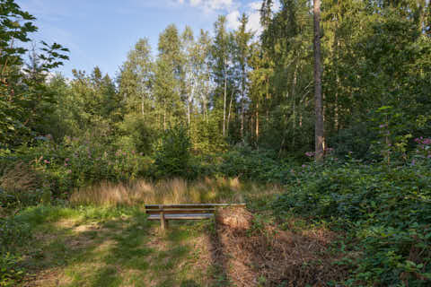 Gemeinde Simbach Landkreis Rottal-Inn Schellenberg Bank an Kapelle Natur (Dirschl Johann) Deutschland PAN